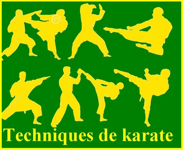 Techniques de karaté