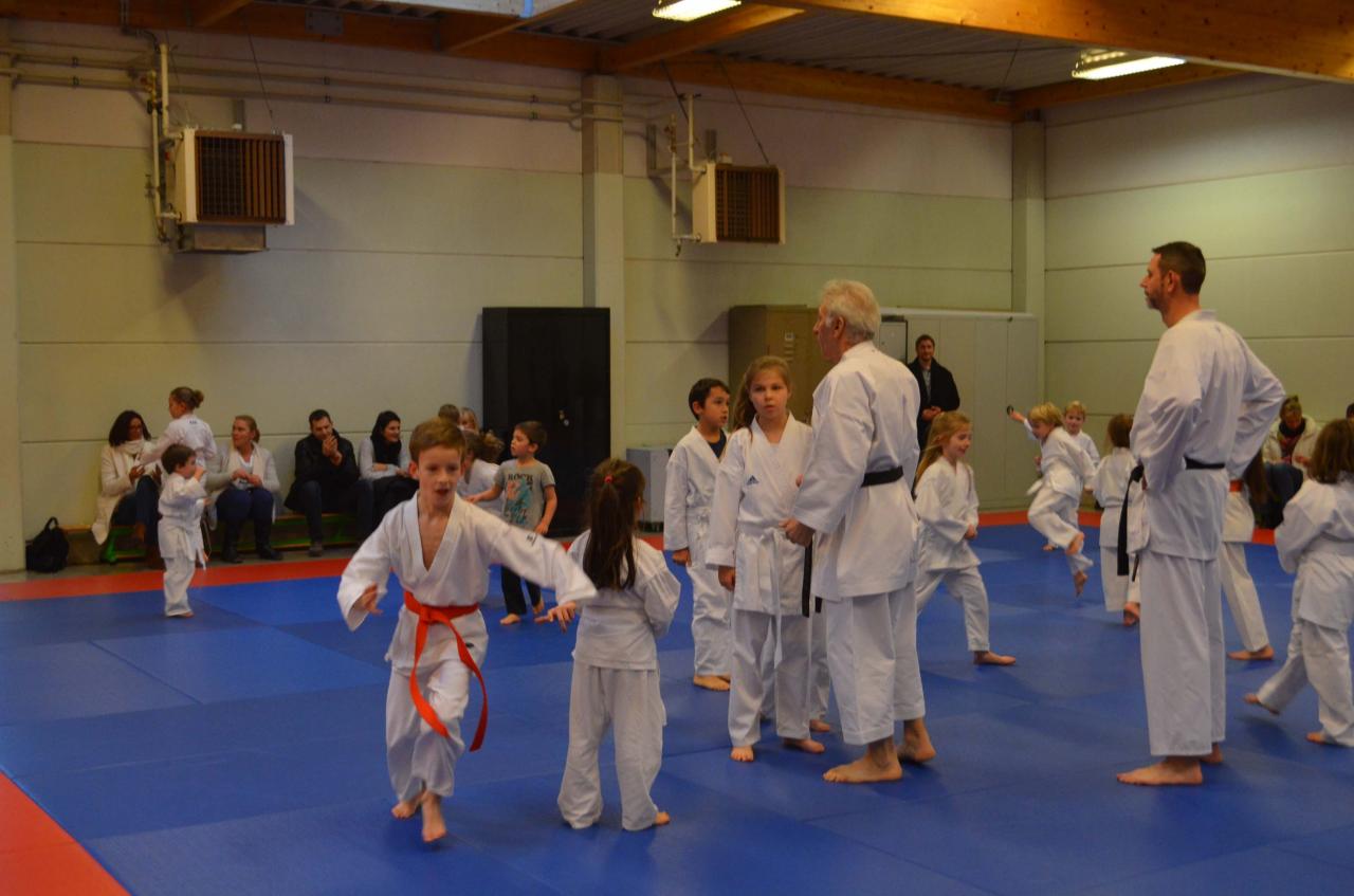 2015 saint-nicolas karaté 0117