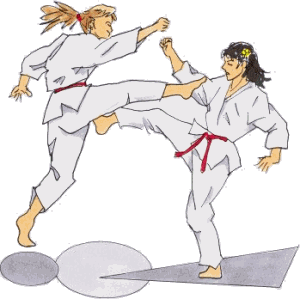 Animated karate image 0010