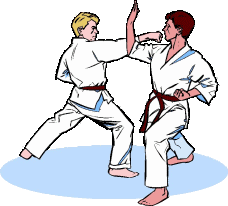 Animated karate image 0041